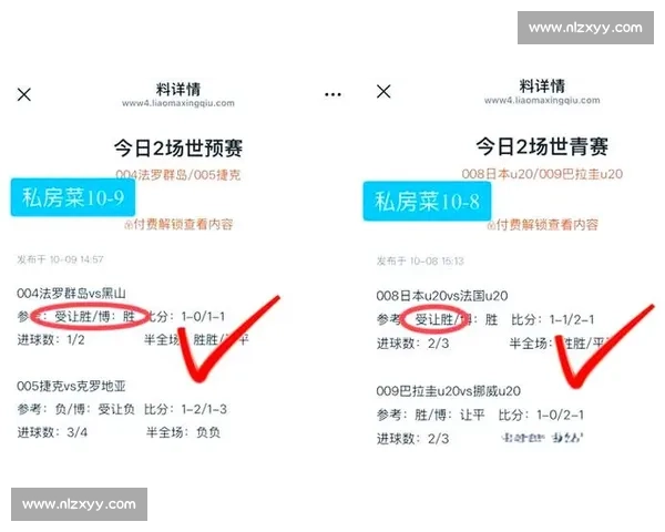纽卡斯尔vs焦点对决英超强强碰撞谁能笑到最后全场看点解析与胜负前瞻