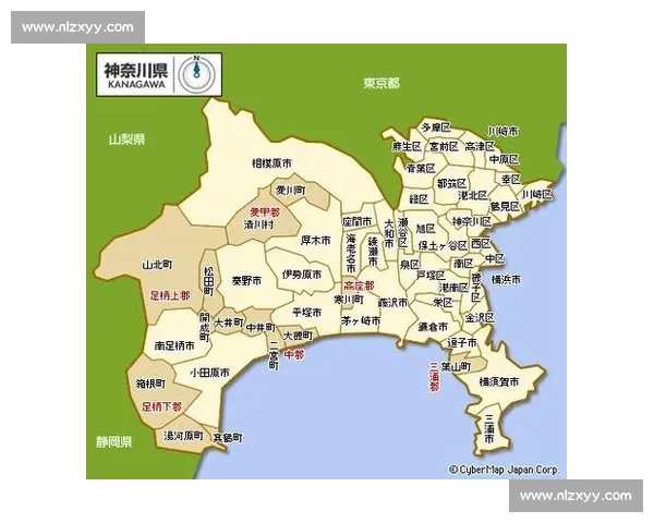 上海与东京经济文化对比分析:城市发展模式与未来潜力探索
