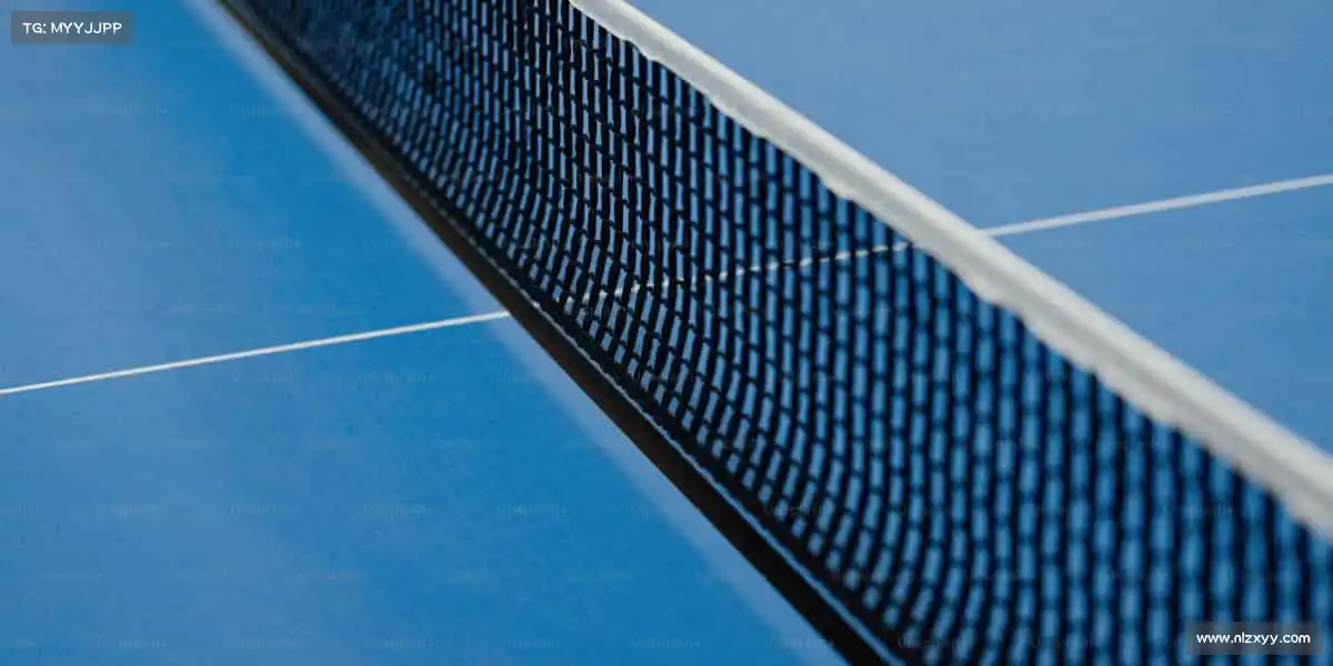 我们的品牌价值